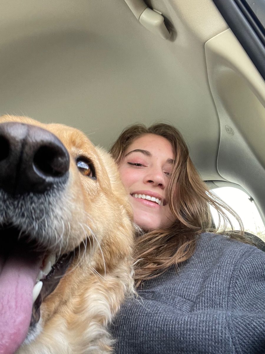 files/dog_labs.jpg